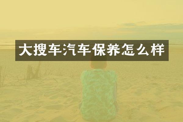 大搜车汽车保养怎么样