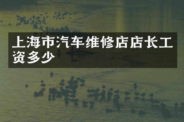 上海市汽车维修店店长工资多少