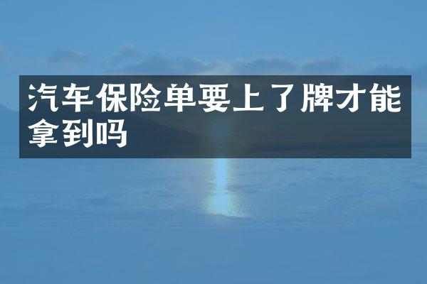 汽车保险单要上了牌才能拿到吗