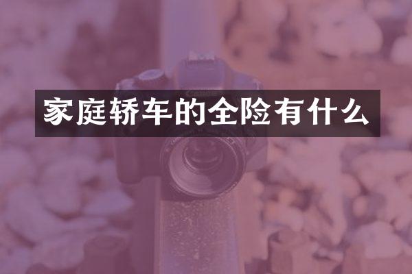 家庭轿车的全险有什么
