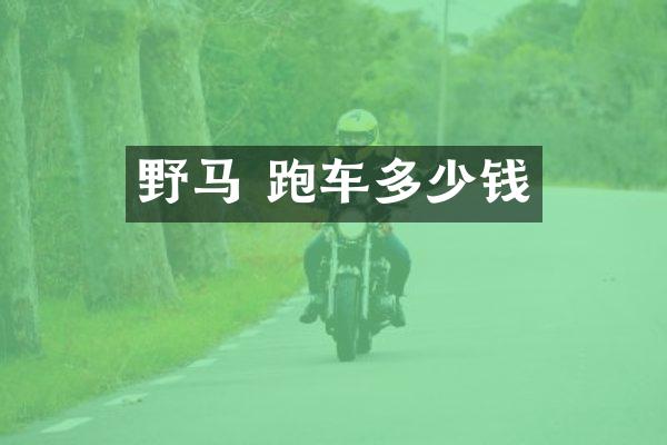 野马 跑车多少钱
