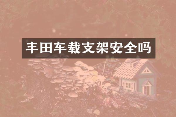 丰田车载支架安全吗