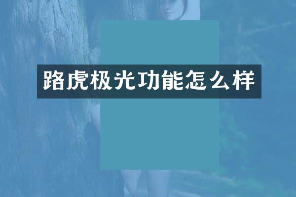 路虎极光功能怎么样