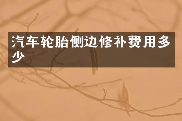 汽车轮胎侧边修补费用多少