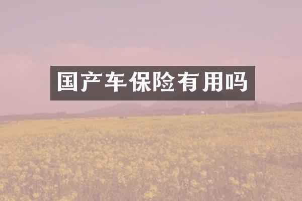 国产车保险有用吗