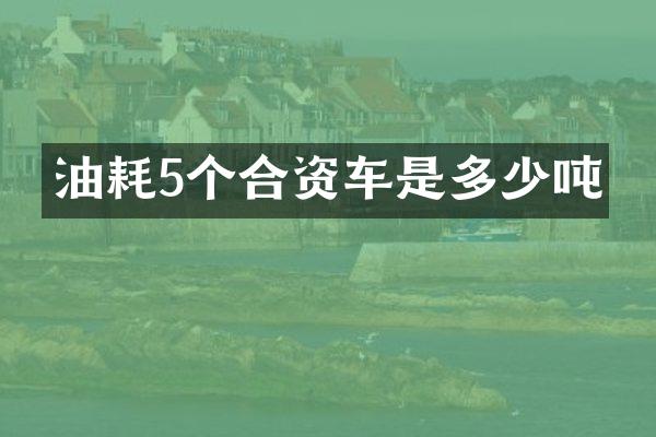 油耗5个合资车是多少吨