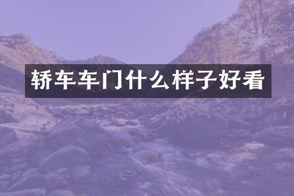 轿车车门什么样子好看
