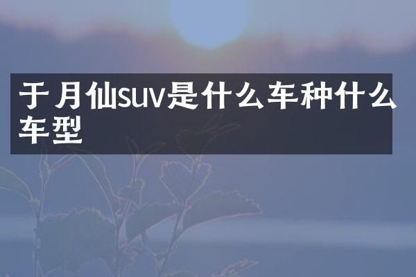 于月仙suv是什么车种什么车型
