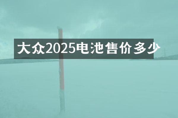 大众2025电池售价多少