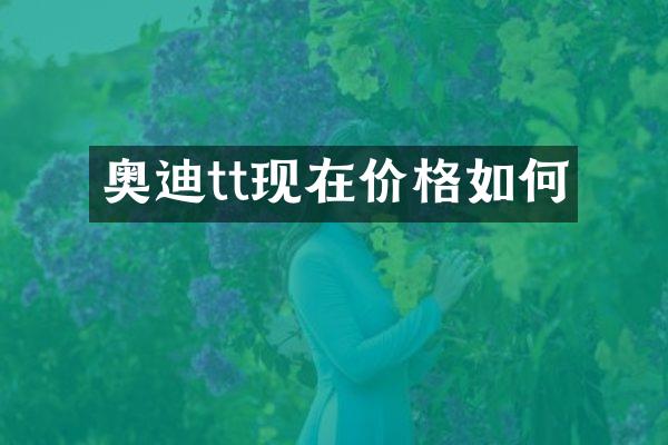 奥迪tt现在价格如何