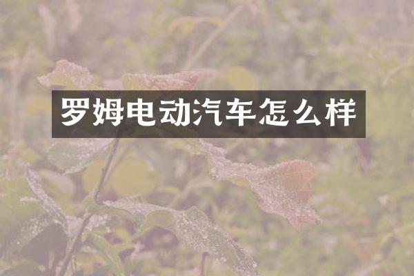 罗姆电动汽车怎么样