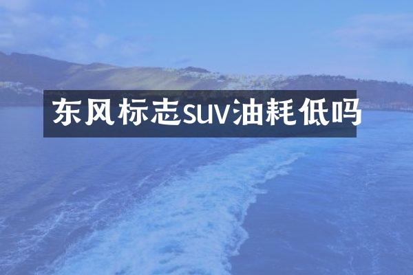 东风标志suv油耗低吗