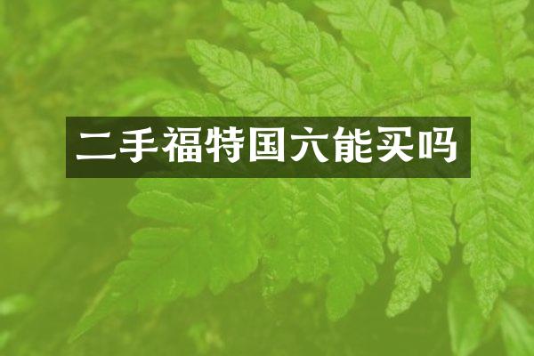 二手福特国六能买吗