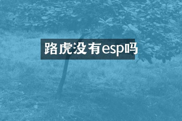 路虎没有esp吗