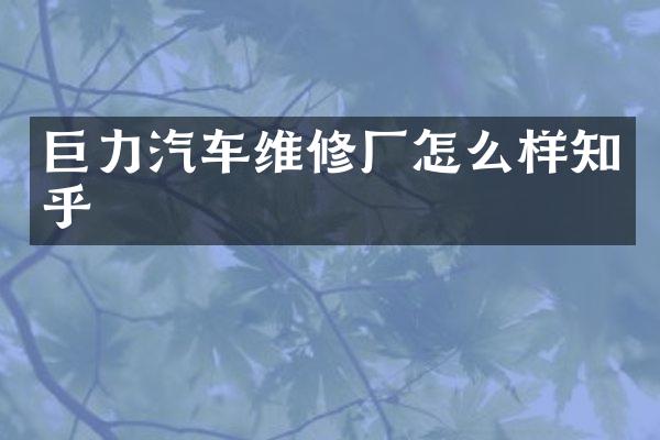 巨力汽车维修厂怎么样知乎