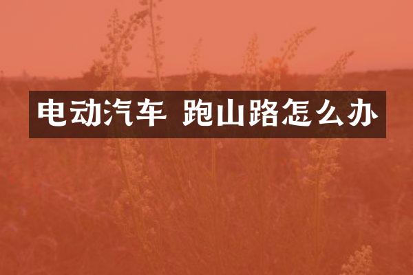 电动汽车 跑山路怎么办