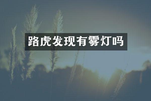 路虎发现有雾灯吗