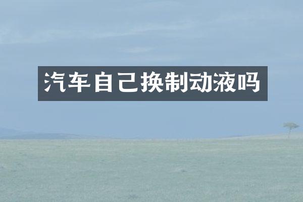 汽车自己换制动液吗