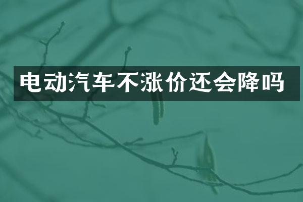 电动汽车不涨价还会降吗