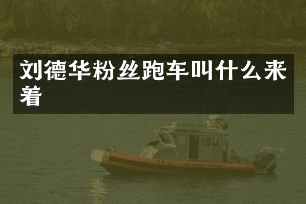 刘德华粉丝跑车叫什么来着