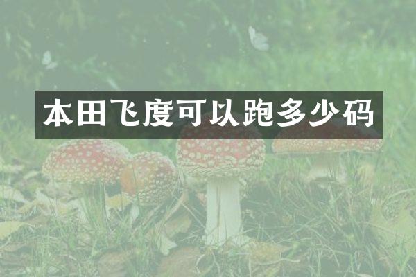 本田飞度可以跑多少码