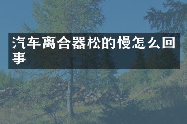 汽车离合器松的慢怎么回事