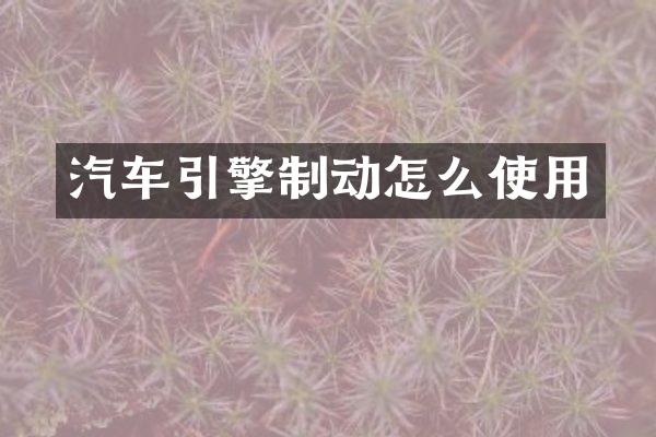 汽车引擎制动怎么使用