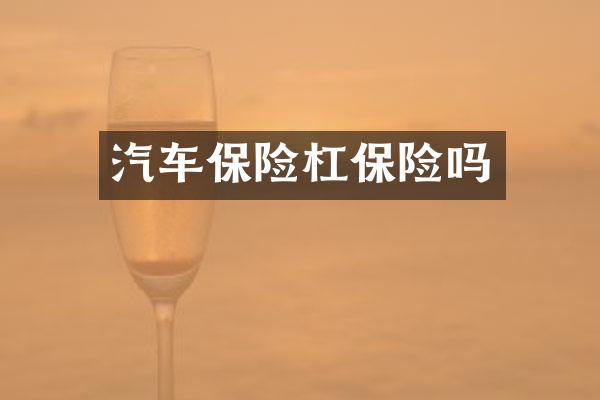 汽车保险杠保险吗