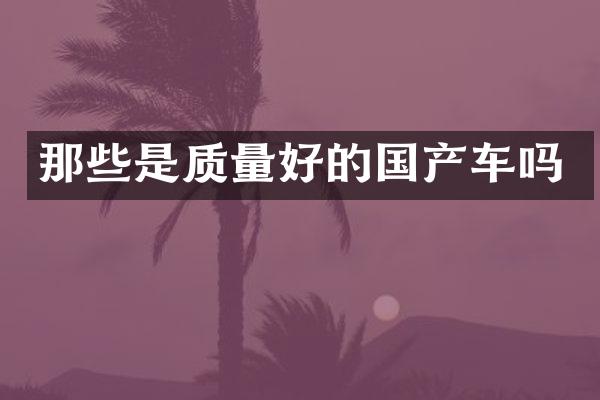 那些是质量好的国产车吗