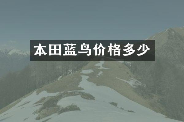 本田蓝鸟价格多少