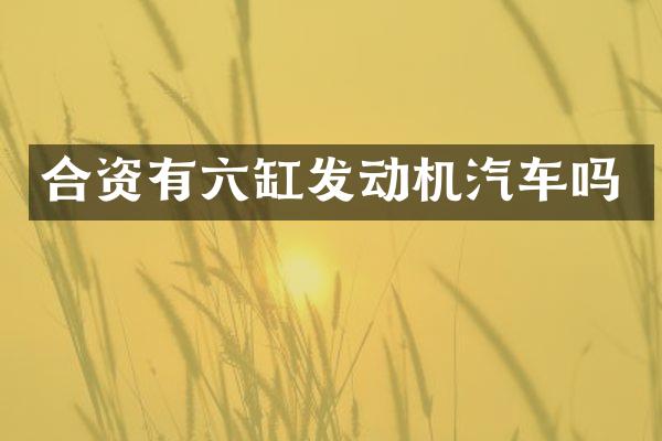 合资有六缸发动机汽车吗