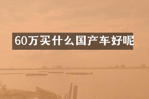 60万国产车好呢