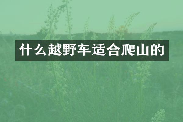 什么越野车适合爬山的