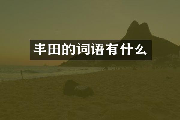 丰田的词语有什么