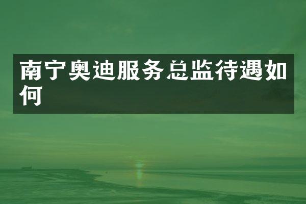 南宁奥迪服务总监待遇如何