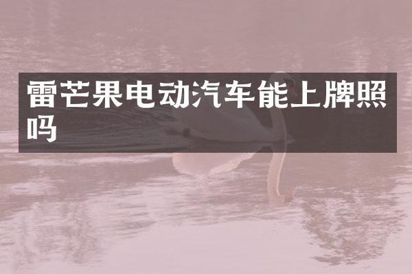 雷芒果电动汽车能上牌照吗