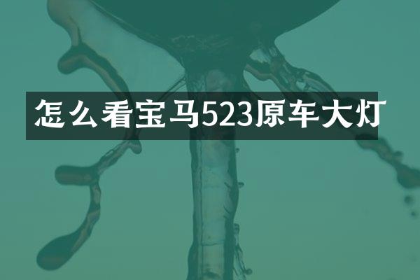 怎么看宝马523原车大灯