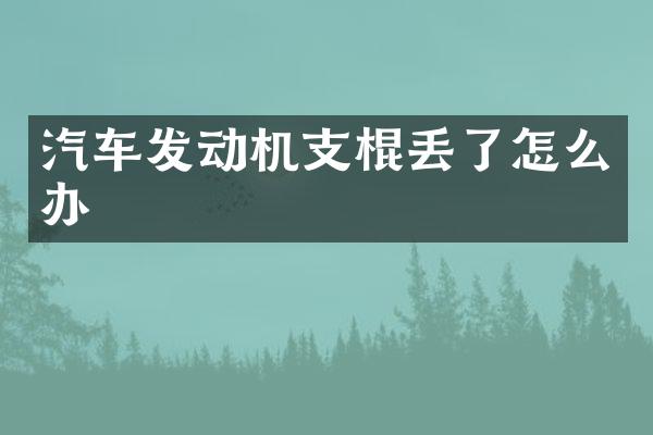 汽车发动机支棍丢了怎么办