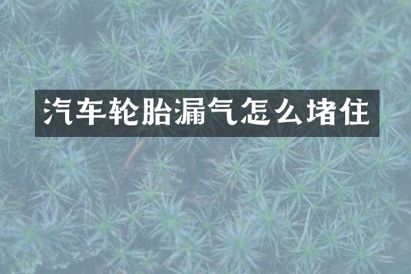 汽车轮胎漏气怎么堵住