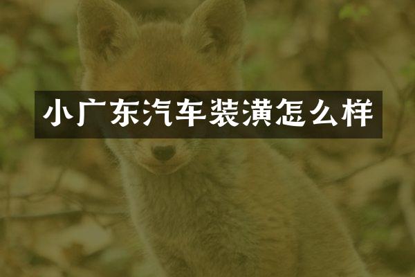 小广东汽车装潢怎么样