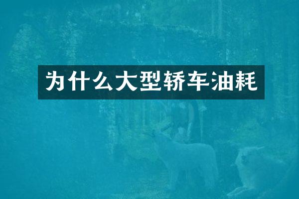 为什么大型轿车油耗