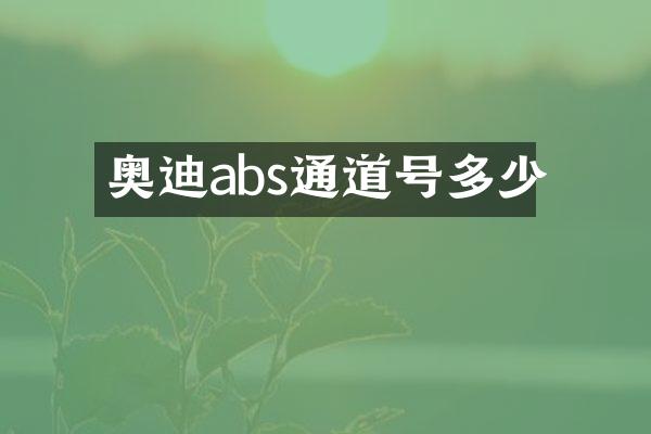 奥迪abs通道号多少
