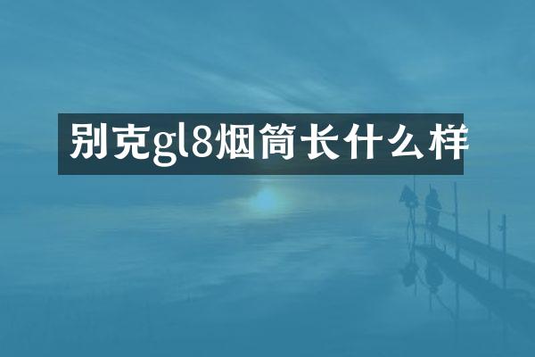 别克gl8烟筒长什么样
