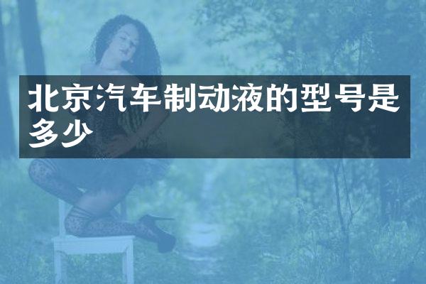 北京汽车制动液的型号是多少