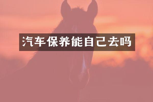 汽车保养能自己去吗