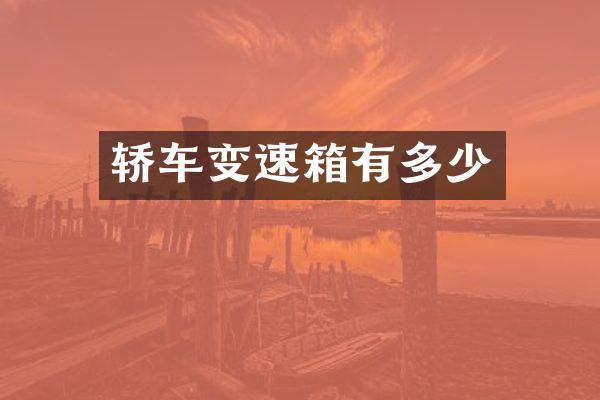 轿车变速箱有多少