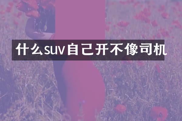 什么suv自己开不像司机