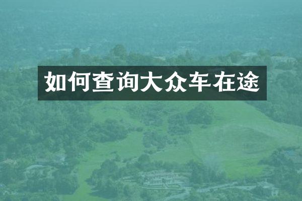 如何查询大众车在途