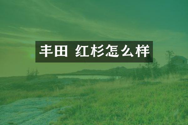 丰田 红杉怎么样