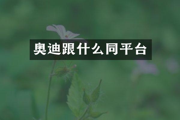 奥迪跟什么同平台